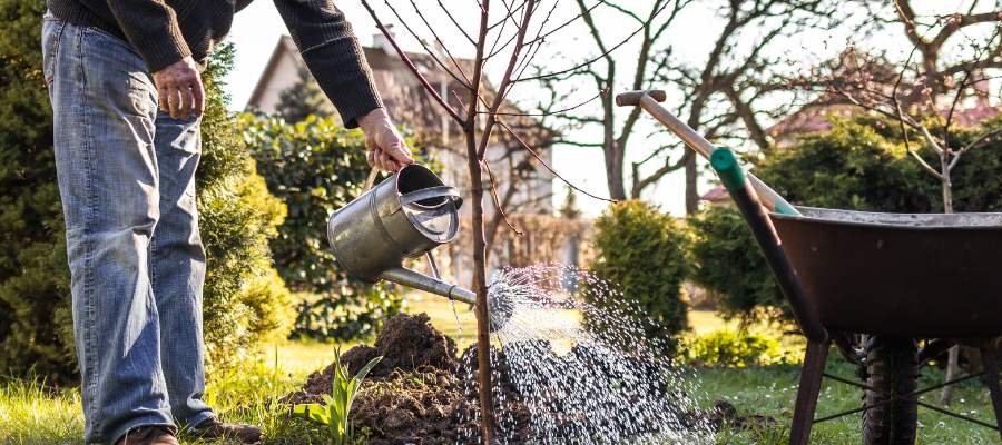 Smart gardening techniques